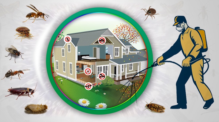 Kepsut Böcek İlaçlama